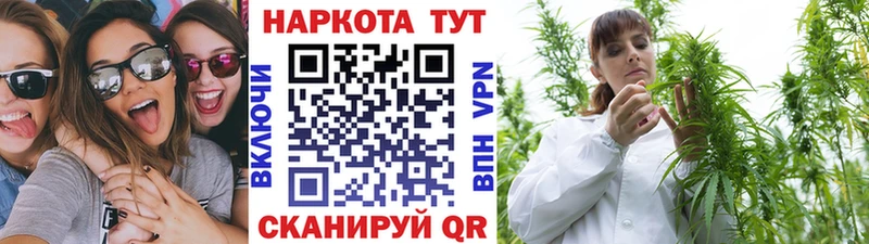МЕФ Краснообск
