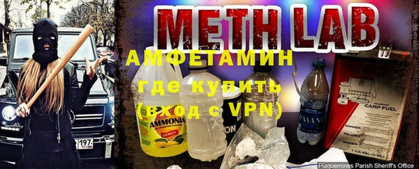 индика Бабаево