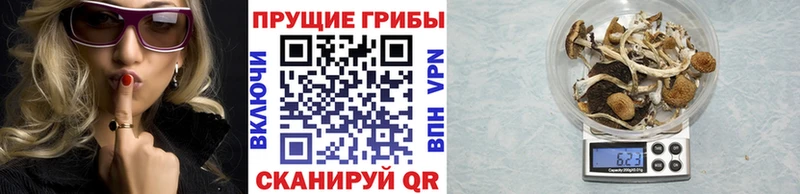 Галлюциногенные грибы мухоморы  Краснообск 